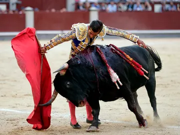 El diesto mexicano Joselito Adame durante la faena a su segundo toro, en el décimo sexto festejo de la Feria de San Isidro El diesto mexicano Joselito Adame durante la faena a su segundo toro, en el décimo sexto festejo de la Feria de San Isidro