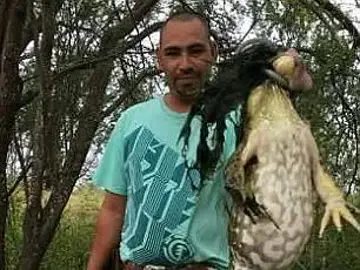 El cazador con la rana de seis kilos El cazador con la rana de seis kilos