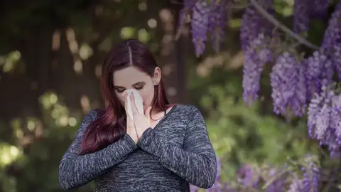 Alergia Alergia