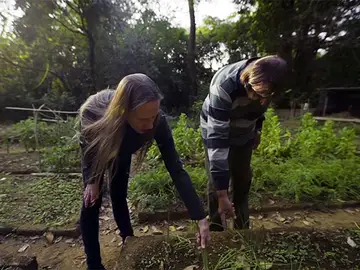 El matrimonio replanta la selva deforestada El matrimonio replanta la selva deforestada