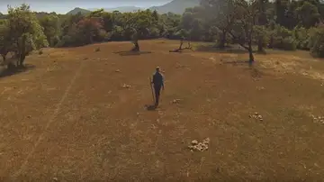 La selva deforestada La selva deforestada