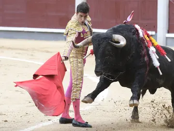 Una pésima corrida de Cuadri abre en negativo la semana "torista" de la feria Una pésima corrida de Cuadri abre en negativo la semana "torista" de la feria