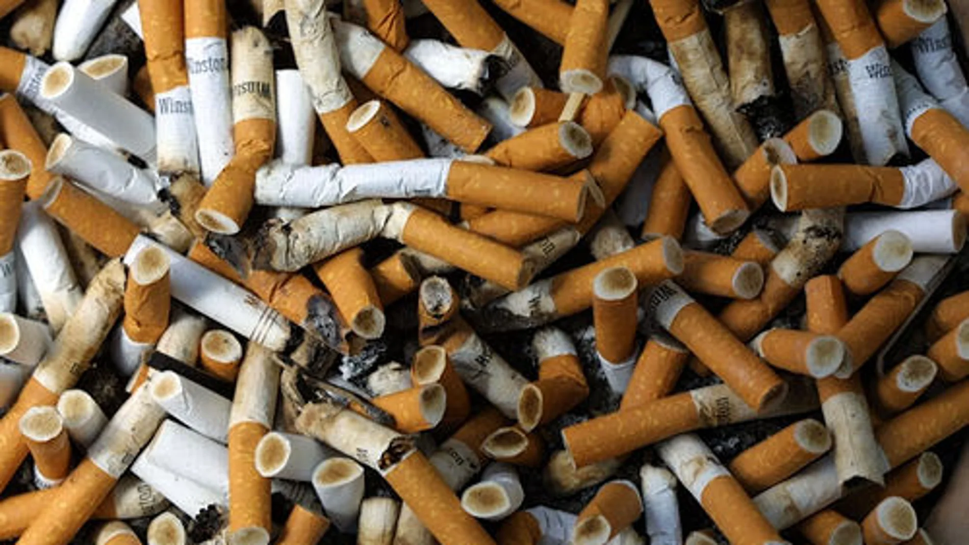 Colillas de cigarrillos Colillas de cigarrillos