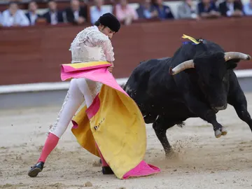 Toreo a capote Toreo a capote