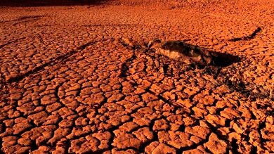 España va camino de la peor sequía en dos décadas