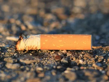 Colillas de cigarrillo Colillas de cigarrillo