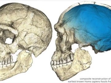 Frame 3.957333 de: Un descubrimiento que cambia el origen de los homínidos: hallan en Marruecos los restos del Homo Sapiens más antiguo del mundo