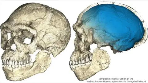 Frame 3.957333 de: Un descubrimiento que cambia el origen de los homínidos: hallan en Marruecos los restos del Homo Sapiens más antiguo del mundo Frame 3.957333 de: Un descubrimiento que cambia el origen de los homínidos: hallan en Marruecos los restos del Homo Sapiens más antiguo del mundo