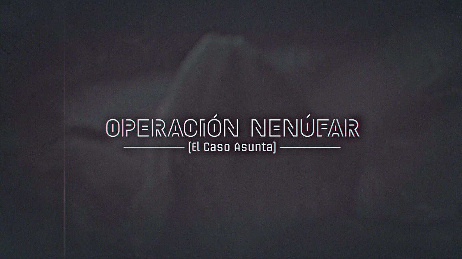 El crimen de Asunta: 'Operación Nenúfar'