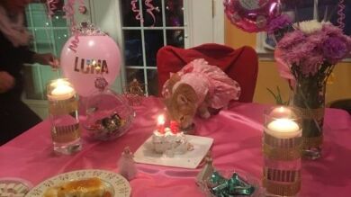Una familia organiza una fiesta de quinceañera para su gata