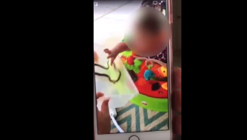 Serpiente muerde niña