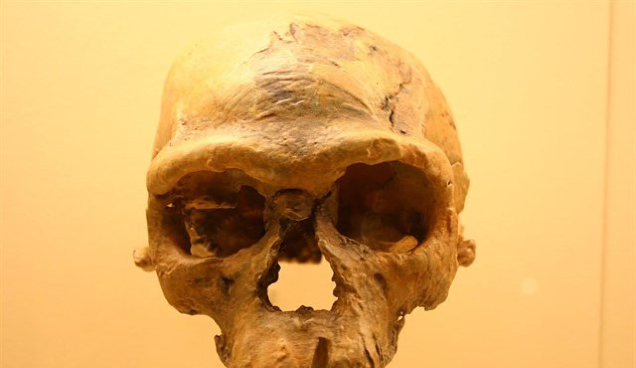 Restos del Homo Sapiens Restos del Homo Sapiens