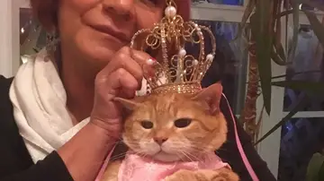 Luna vestida para su fiesta de quinceañera