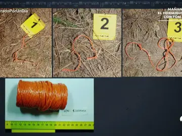 Frame 585.948199 de: 3 Frame 585.948199 de: 3