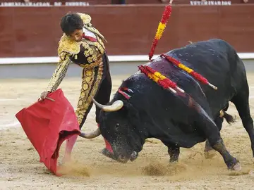 El diestro Pérez Mota en su faena a su segundo toro, durante el vigésimo octavo festejo de la Feria de San Isidro El diestro Pérez Mota en su faena a su segundo toro, durante el vigésimo octavo festejo de la Feria de San Isidro
