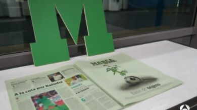 Marca se tiñe de verde para mostrar su compromiso con el medio ambiente