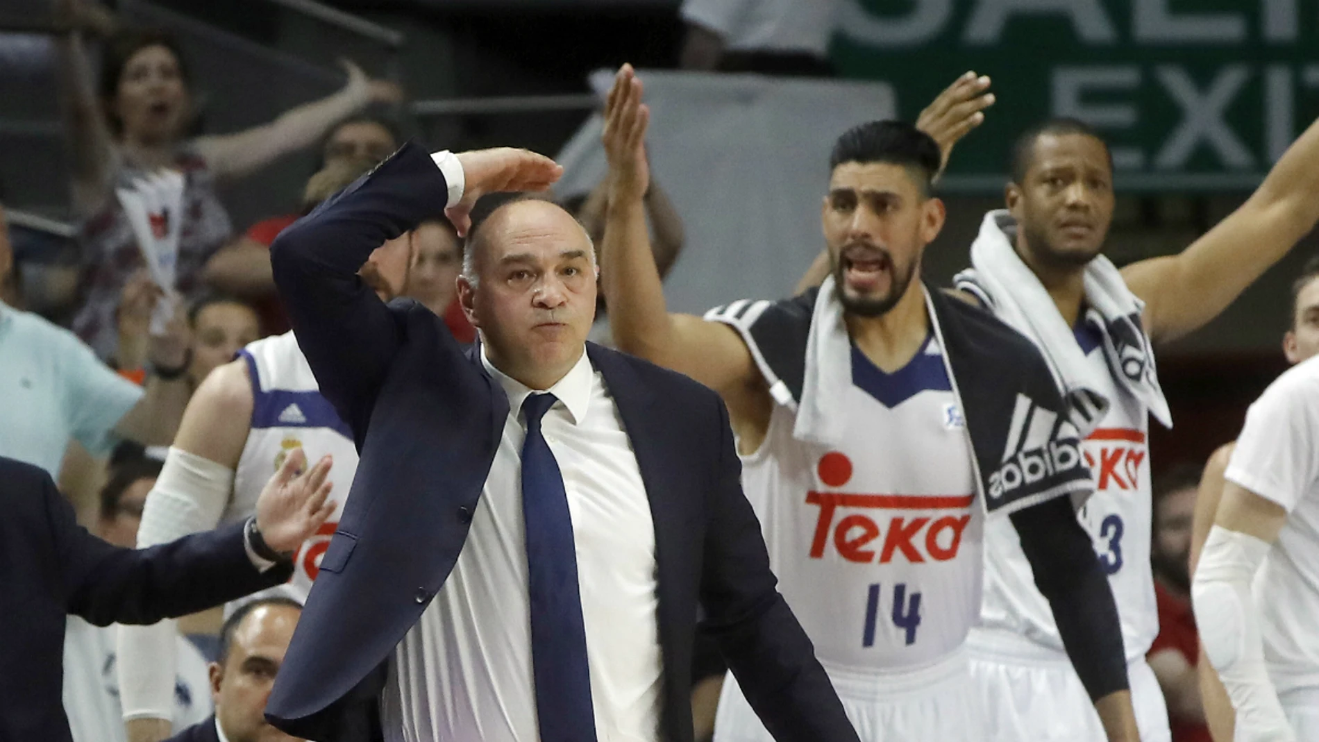 Pablo Laso Pablo Laso