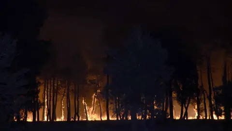 Treinta personas han sido desalojadas en Navalilla (Segovia) por el incendio Treinta personas han sido desalojadas en Navalilla (Segovia) por el incendio