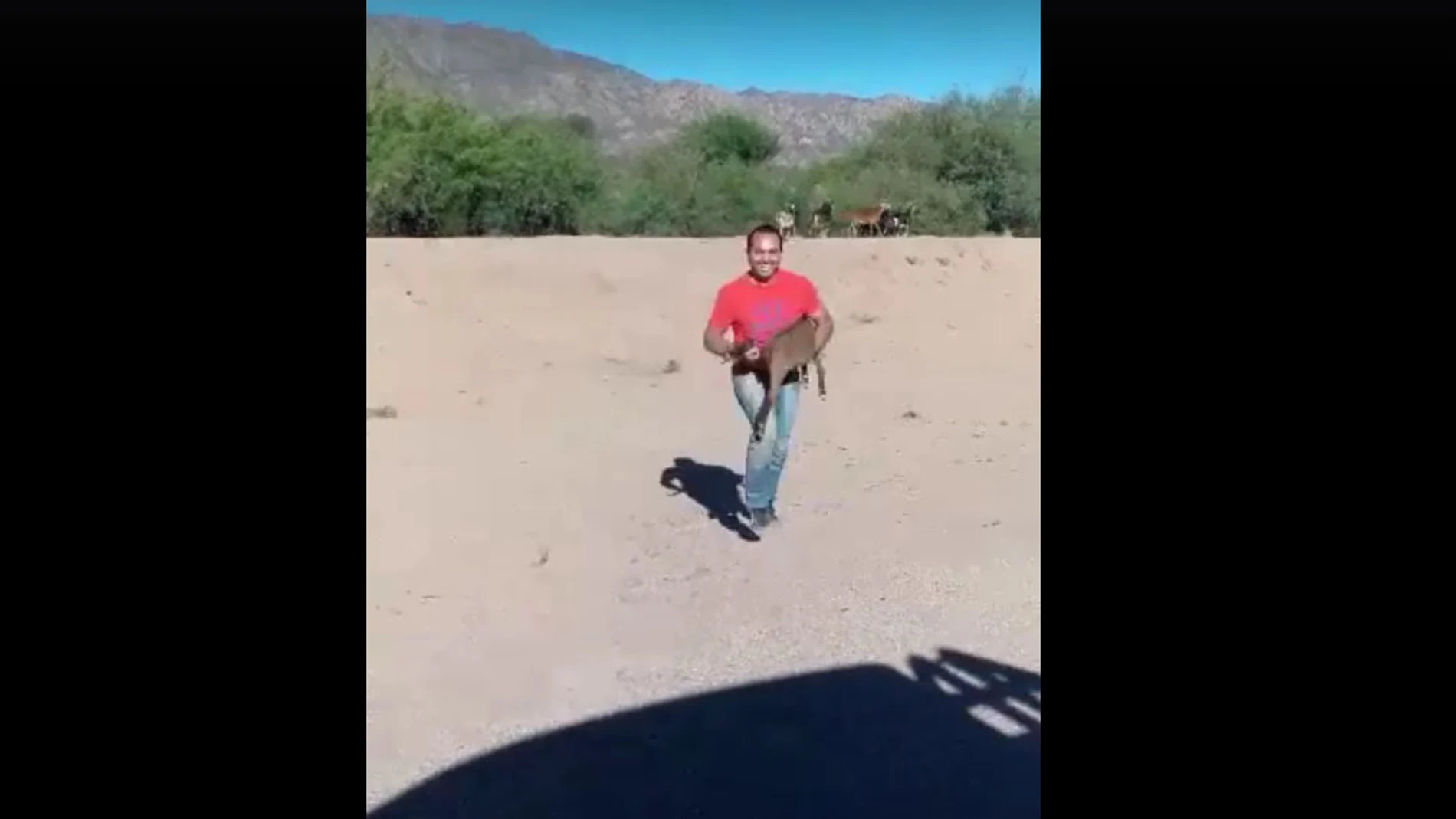 El hombre con la cabra en brazos El hombre con la cabra en brazos