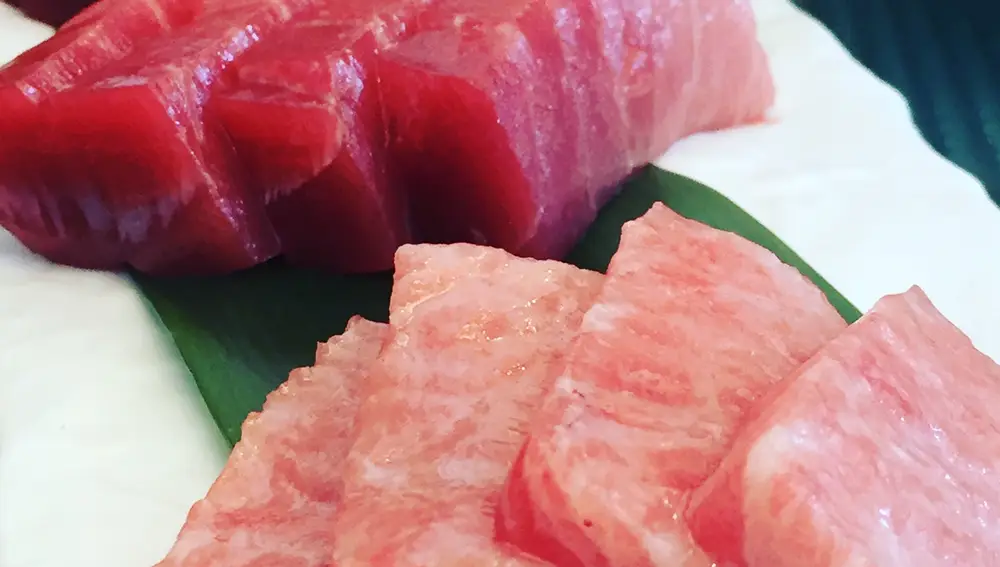 sashimi