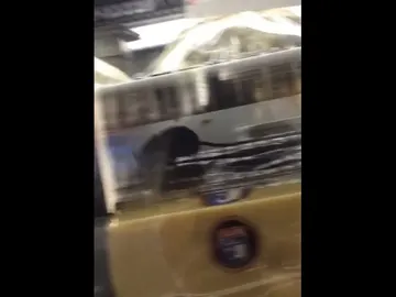 La rata entre la comida La rata entre la comida