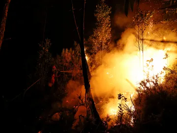 Incendio en Portugal Incendio en Portugal