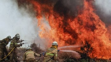 Los bomberos intentan apagar las llamas del incendio de Portugal