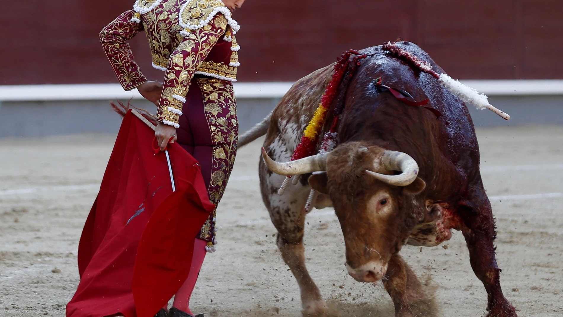El diestro Ginés Marín en la faena a su primer toro durante la corrida de la Cultura