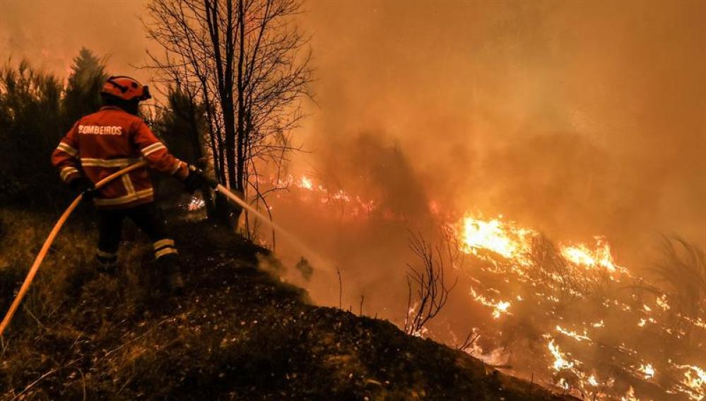 Los bomberos luchan contra el incendio de Portugal