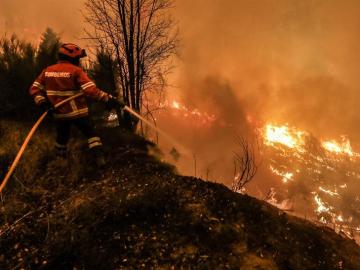 Los bomberos luchan contra el incendio de Portugal