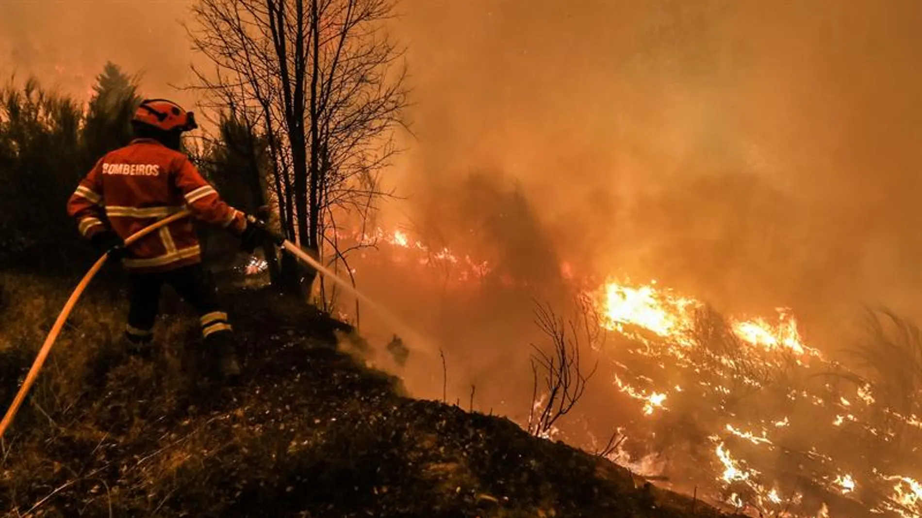 Los bomberos luchan contra el incendio de Portugal Los bomberos luchan contra el incendio de Portugal
