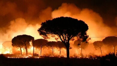 Un incendio forestal en Salamanca obliga a desalojar un camping y unas naves 