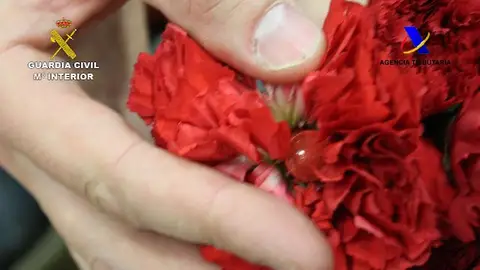 Cocaína oculta en claveles Cocaína oculta en claveles