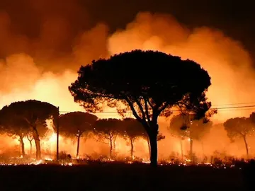 Imagen de EFE Televisión del incendio declarado anoche en el paraje La Peñuela de Moguer Imagen de EFE Televisión del incendio declarado anoche en el paraje La Peñuela de Moguer