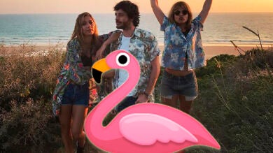 Los actores de 'Amar es para siempre' se suman a la moda del flamenco rosa