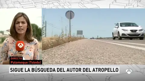 CICLISTA CICLISTA