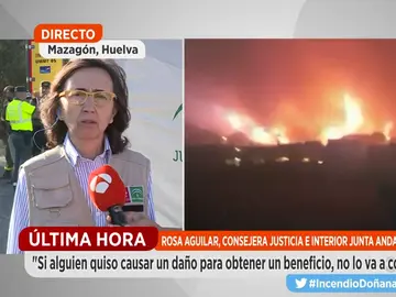 Rosa Aguilar, consejera de Justicia e Interior de la Junta de Andalucía Rosa Aguilar, consejera de Justicia e Interior de la Junta de Andalucía