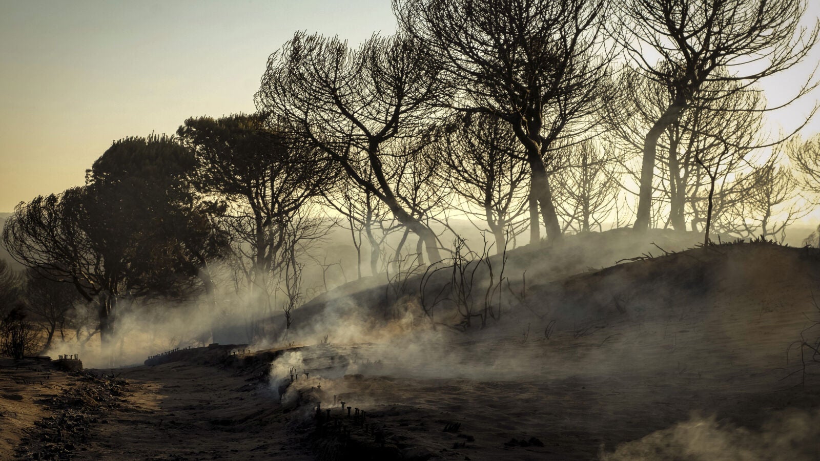 Dan por controlado el incendio de Moguer y los desalojados pueden volver a sus casas