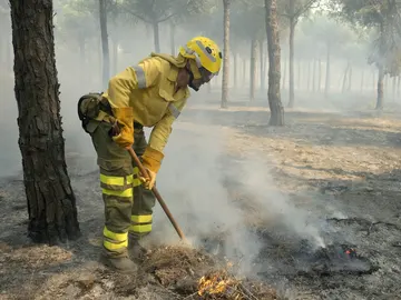 Bomberos trabajan en los alrededores de Mazagón Bomberos trabajan en los alrededores de Mazagón