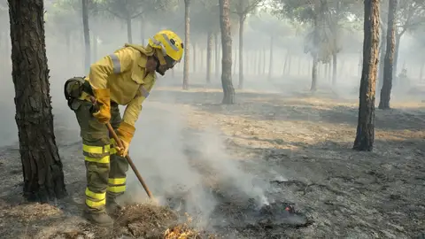 Bomberos trabajan en los alrededores de Mazagón Bomberos trabajan en los alrededores de Mazagón