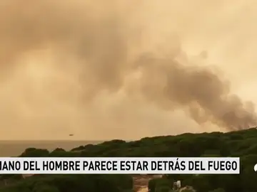 incendio futuro 2 incendio futuro 2