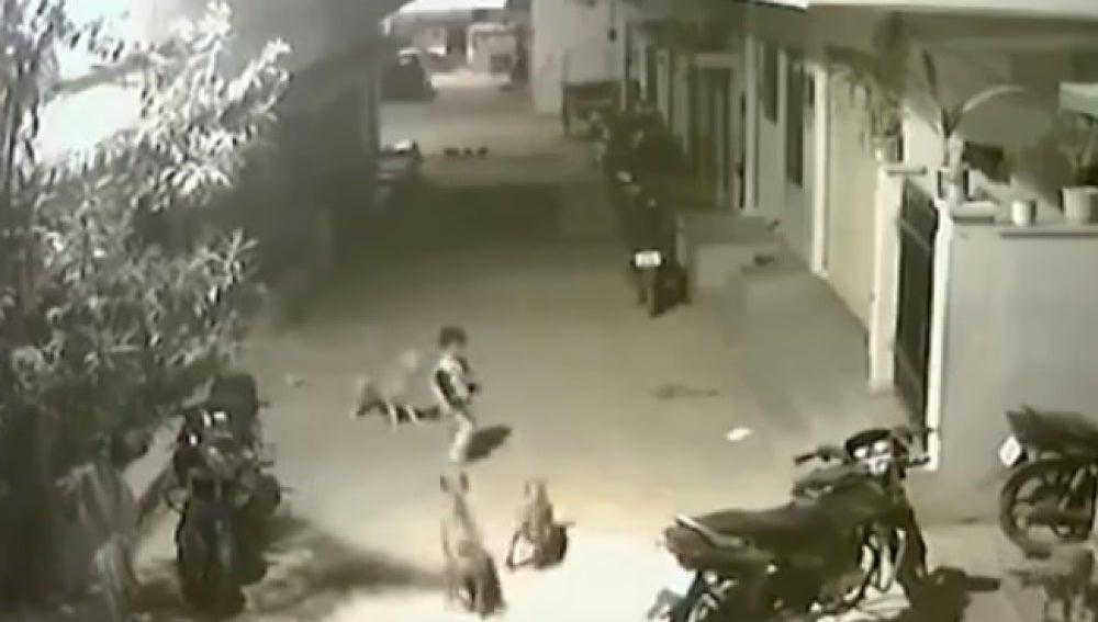 Un valiente niño planta cara a unos perros para salvar a su amiga