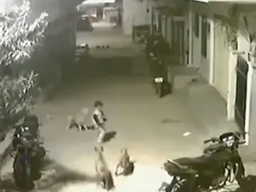 Un valiente niño planta cara a unos perros para salvar a su amiga Un valiente niño planta cara a unos perros para salvar a su amiga