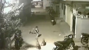 Un valiente niño planta cara a unos perros para salvar a su amiga 