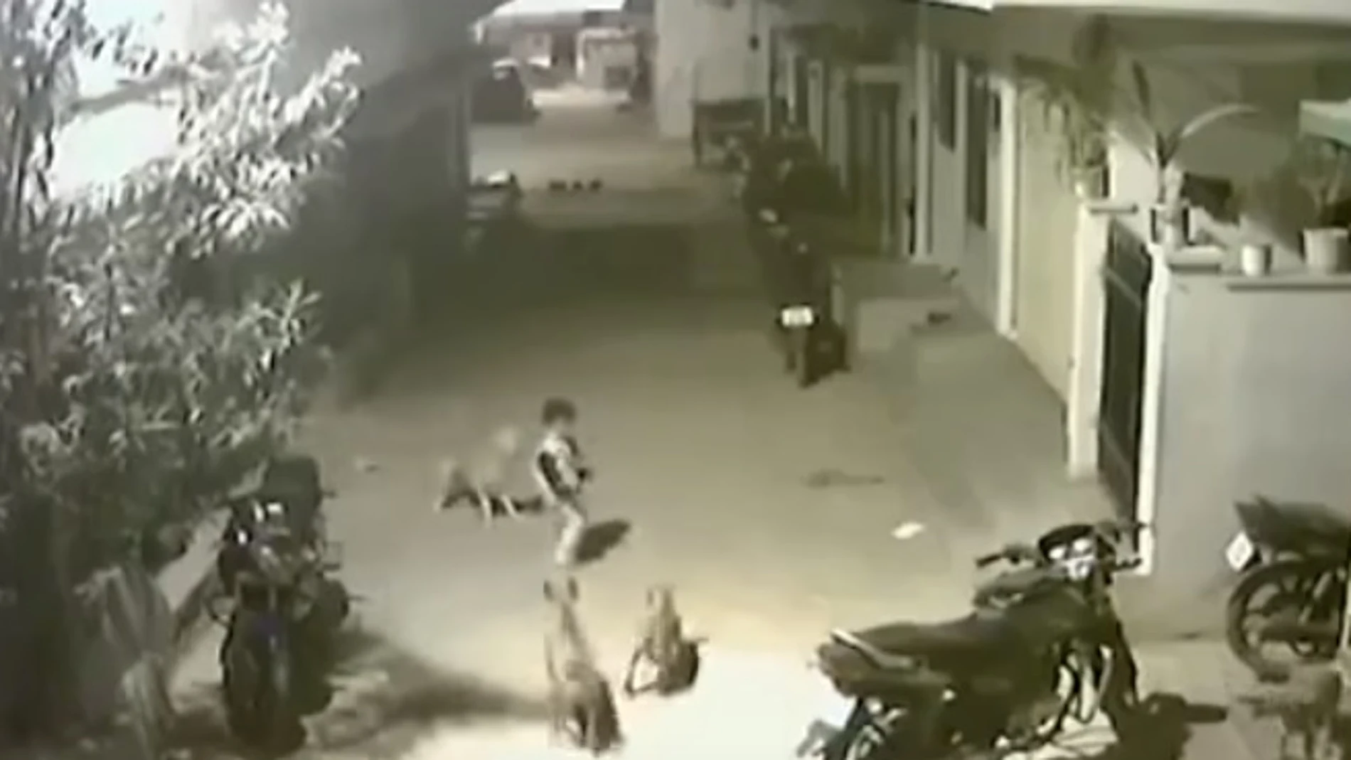Un valiente niño planta cara a unos perros para salvar a su amiga Un valiente niño planta cara a unos perros para salvar a su amiga