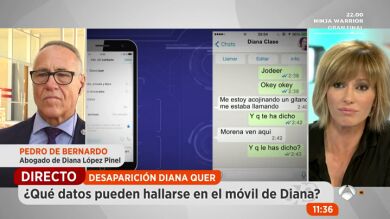 ¿Qué datos pueden hallarse en el móvil de Diana?
