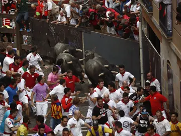 Los morlacos de la ganadería abulense de José Escolar Los morlacos de la ganadería abulense de José Escolar