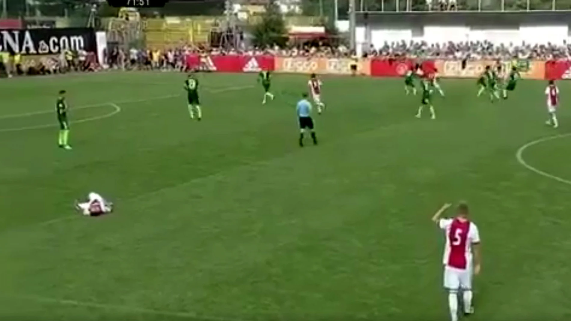 Nouri, tendido en el césped Nouri, tendido en el césped