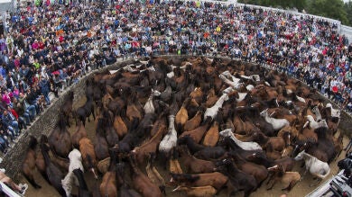 Sabucedo se rinde ante la 450 edición de la Rapa das Bestas