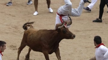 Imagen de archivo de una vaquilla